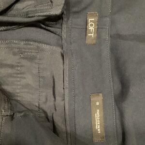 LOFT Womens  Navy Marisa Skinny Chinos